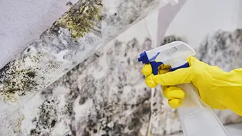 hand with gloves and spary bottle treating and cleaning up mold from a hot tub leak in san diego california hand with gloves and spary bottle treating and cleaning up mold from a hot tub leak in San Diego California