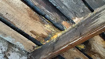 rotten deck from hot tub leak in san diego california underneath a rotten deck from hot tub leak in San Diego California
